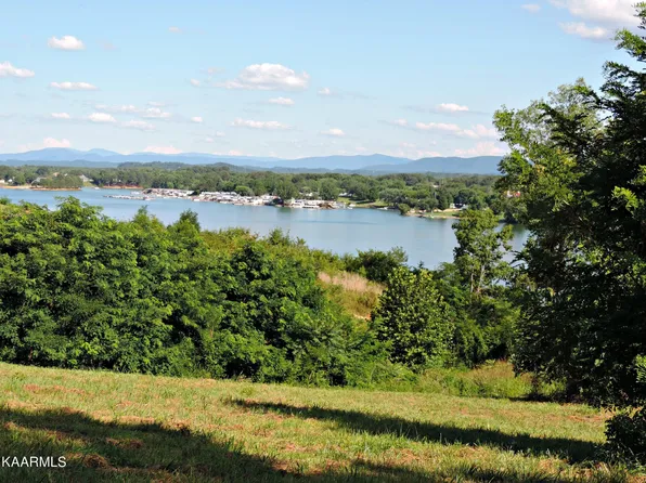 32 Buckhead Trl Lot 32, White Pine, TN 37890