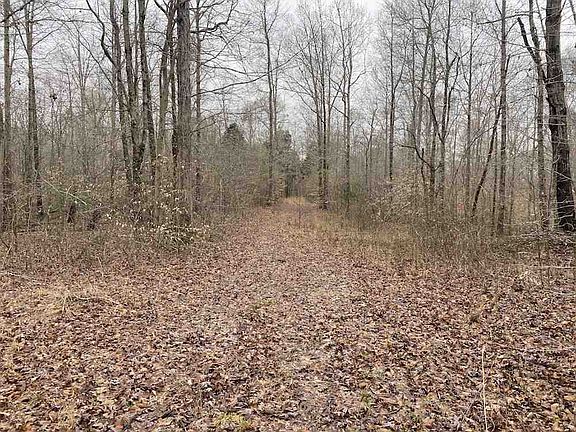 5th image of 9973 Darden Christian Chapel Rd