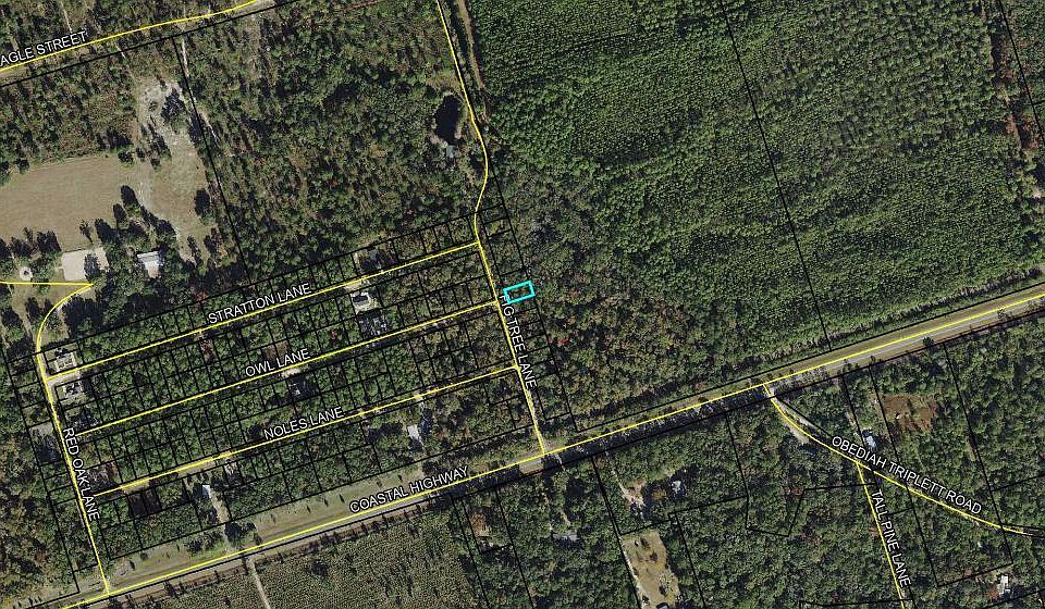2nd image of 10 Fig Tree Ln