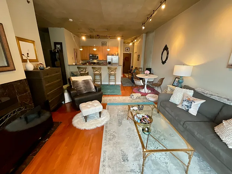 1305 S Michigan Ave #1011 — Photo 9