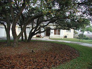 View from right side