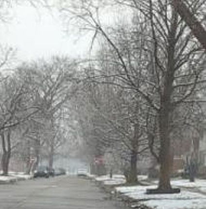Exterior Neighborhood (street photo)