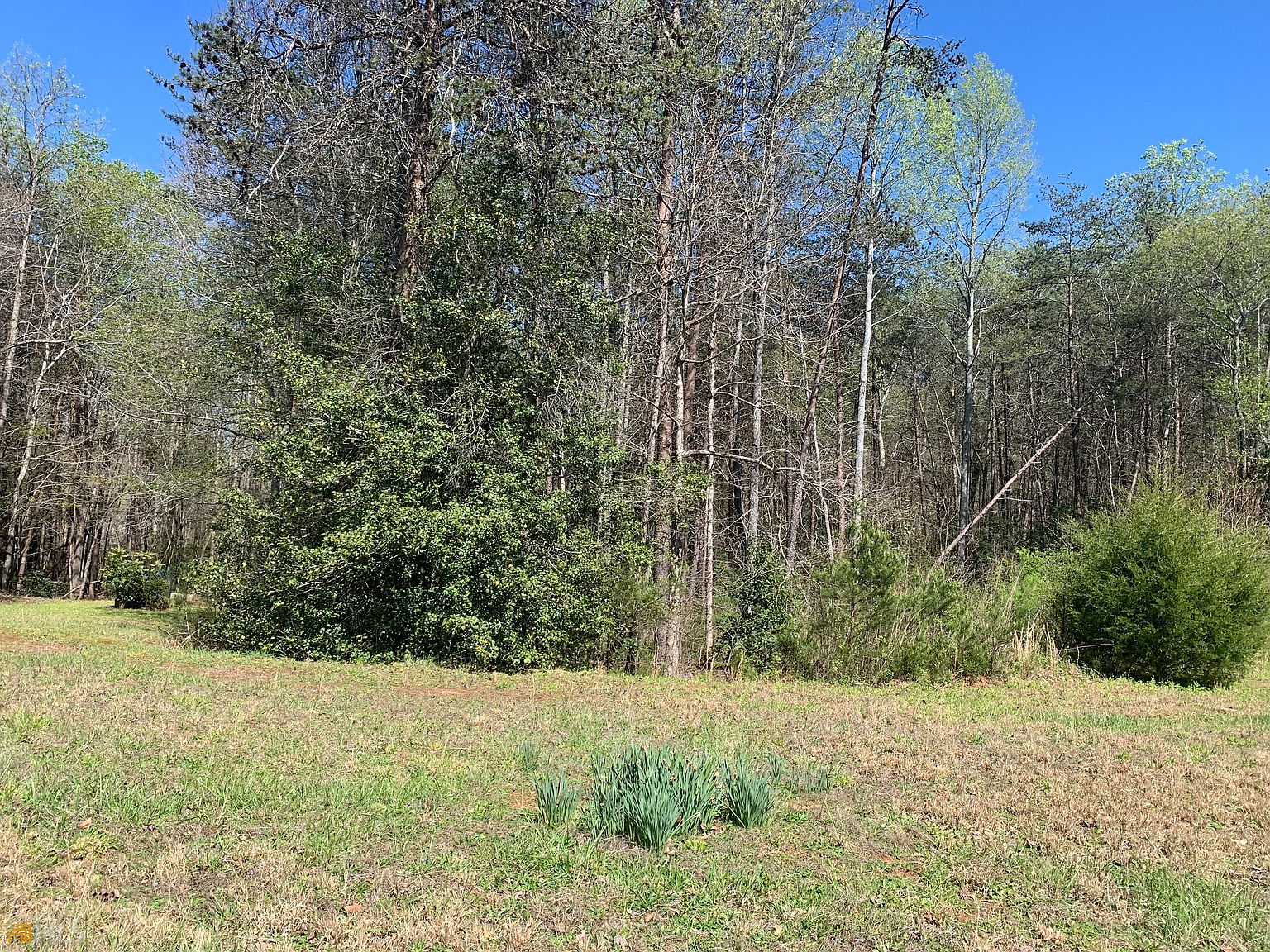 LOT 45 Woodmont Dr, Cornelia, GA 30531 MLS 10145626 Zillow