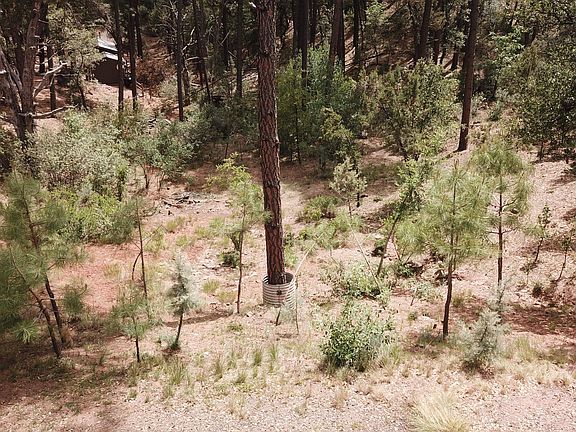 4th image of 51 Forest Trail Court #51