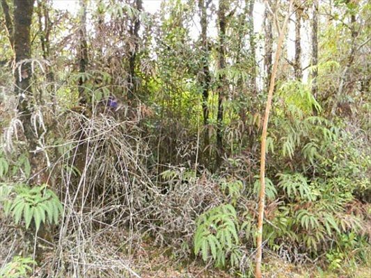 5th image of Road 3 Hopue Lot 3067