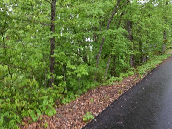 3rd image of Vista Dr