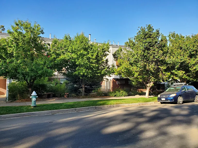 1111 Maxwell Ave #221 — Photo 5