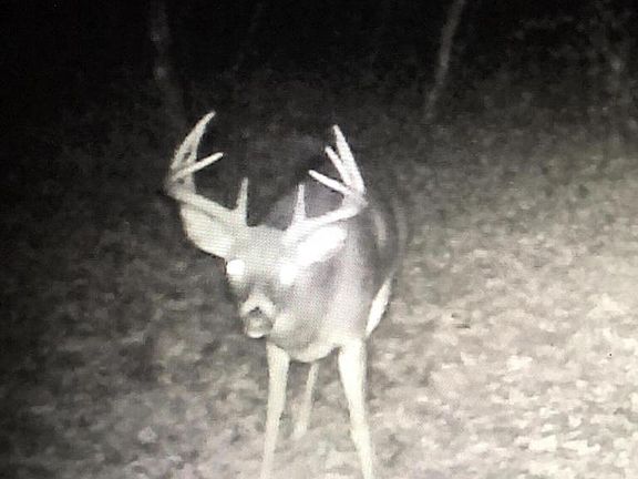 3rd image of 5766 CAMBRIDGE ROAD