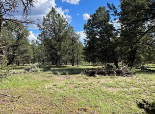 El Caso Rd, Quemado, NM 87829