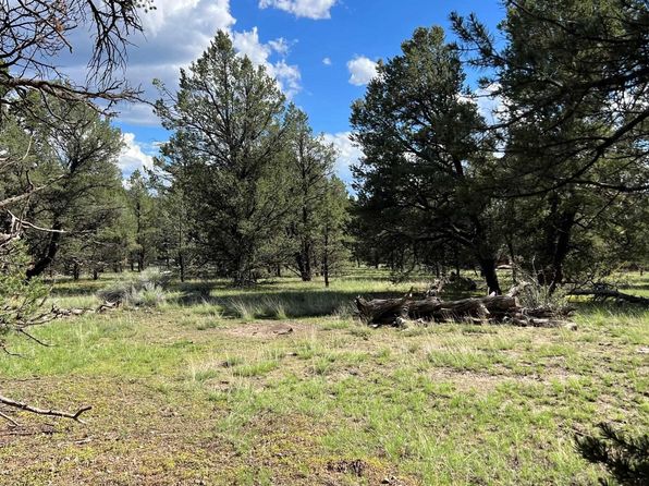 Quemado Lake Estates - Quemado NM Real Estate - 15 Homes For Sale | Zillow