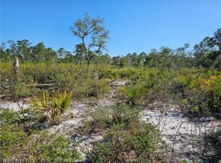 3385 Drake Ave, Sebring, FL 33875
