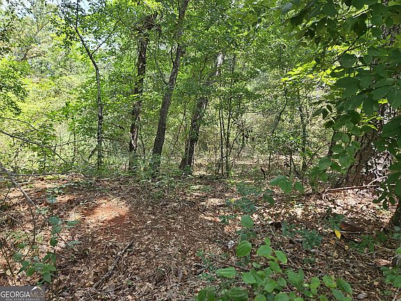 2nd image of 1 June Ivey Rd