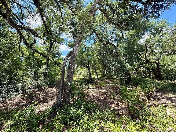 4th image of Long Cir Lot 10