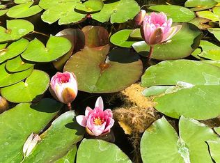 9161 Bader Rd, Elk Grove, CA 95624