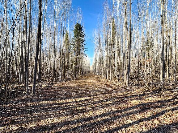 2nd image of LOT County Road 79 #D