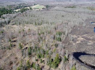 N2698 Wegner Rd, Merrill, WI 54452