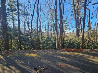 282 Pine Cone Court, Sapphire, NC, 28774