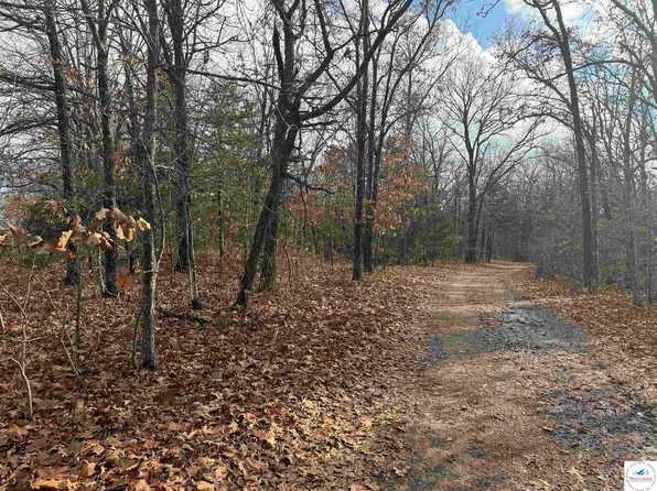 24978 Highway H, Lincoln, MO 65338