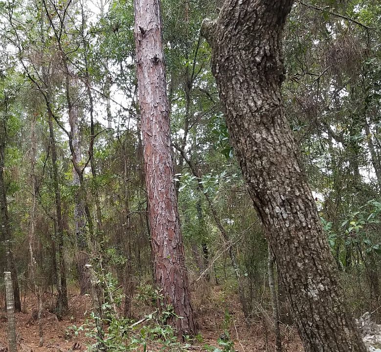 2nd image of 2103 N Dexter Point