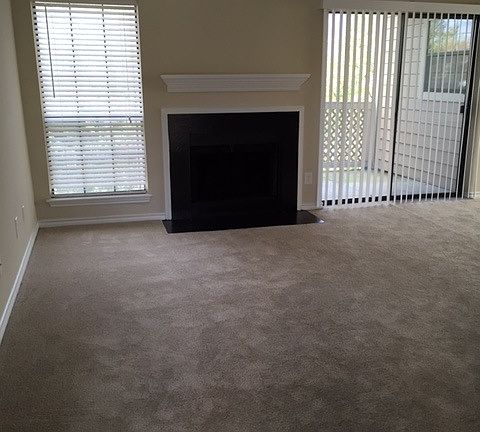 Woodburning Fireplace