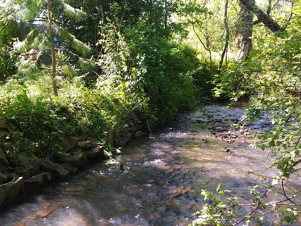 Year Round Creek