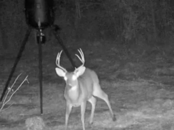 0 Hike Lake Rd, Madison, FL 32340