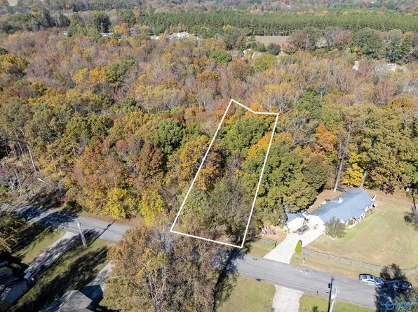 357 Buffalo Creek Dr, Toney, AL 35773