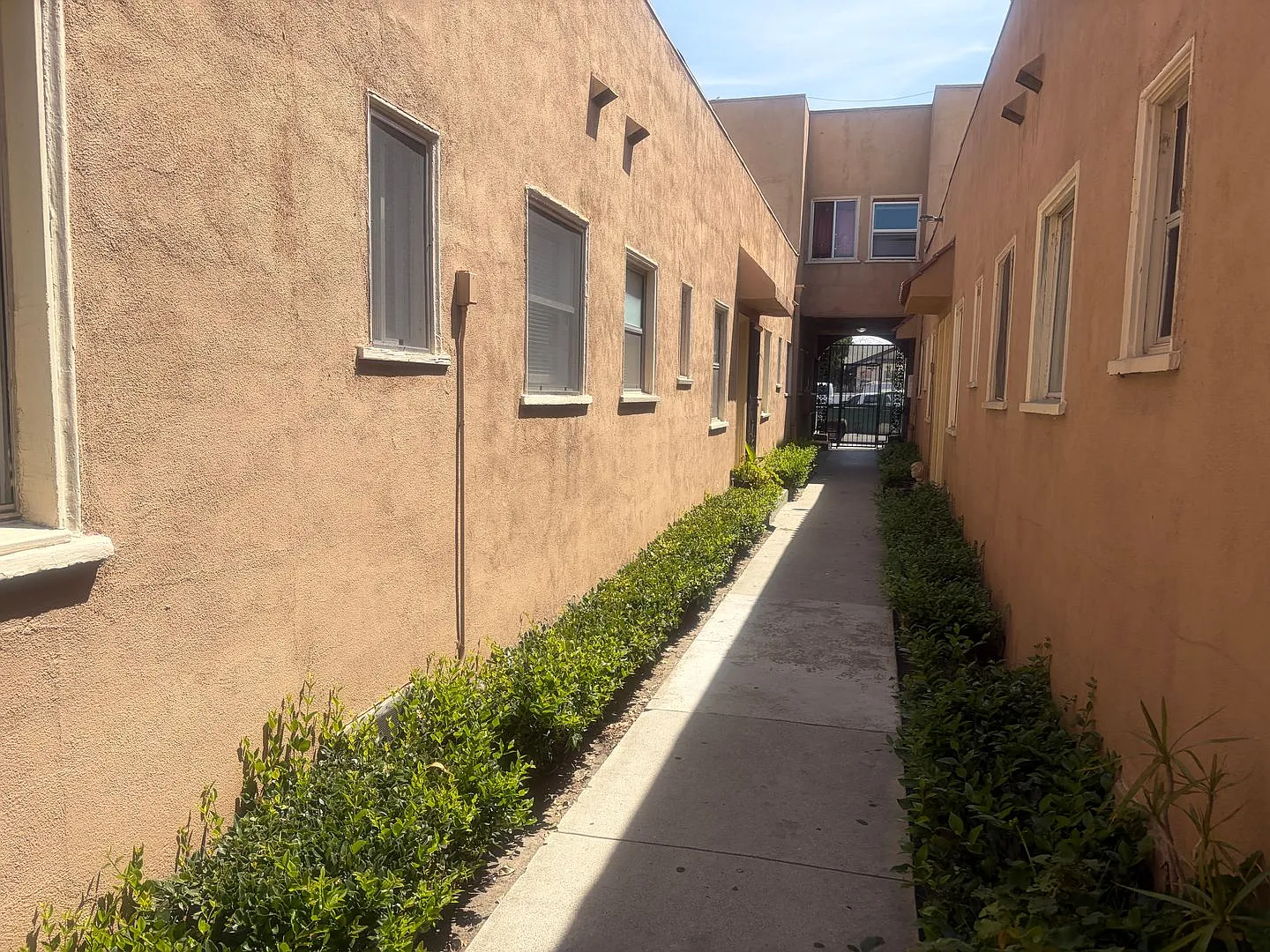 927 — Photo 3