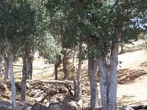 619 Dolores Way photo 1