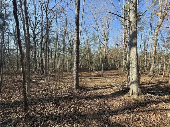 Tbd Forest Chapel Ln, Crimora, VA 24431