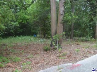 437 Marlboro Ave, Hartsville, SC 29550