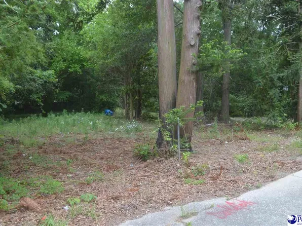 437 Marlboro Ave, Hartsville, SC 29550