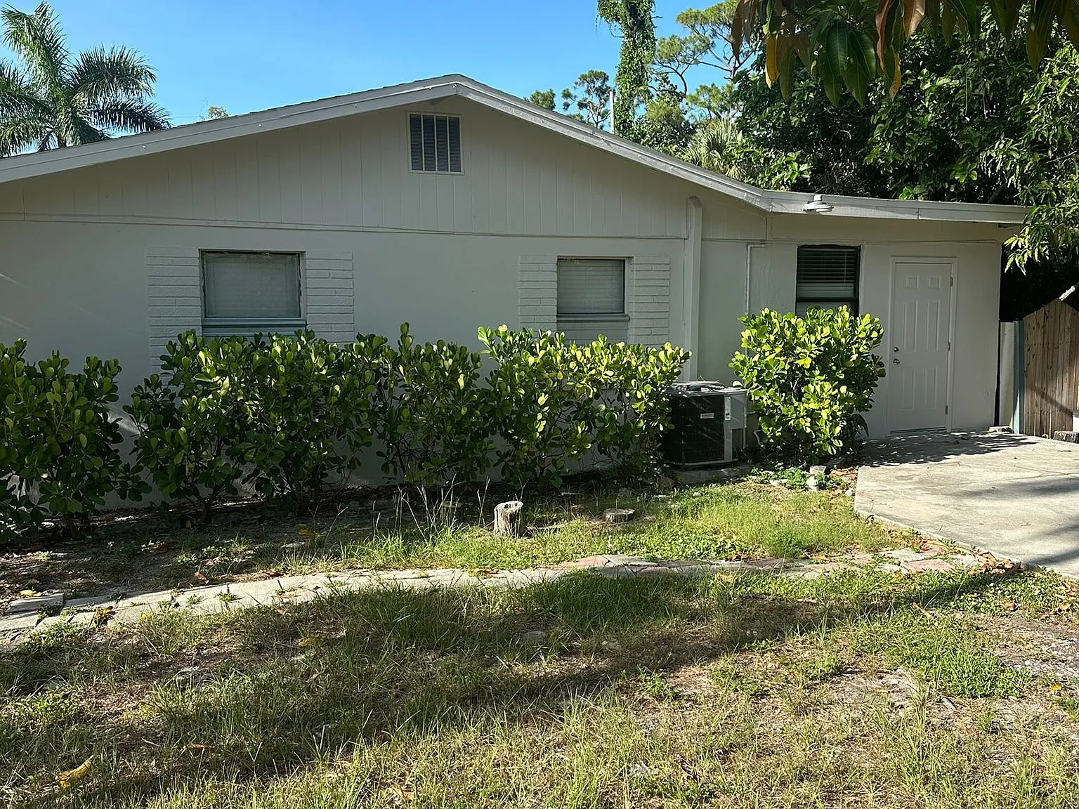 1 bed, 1110 sqft, $900 — Photo 2