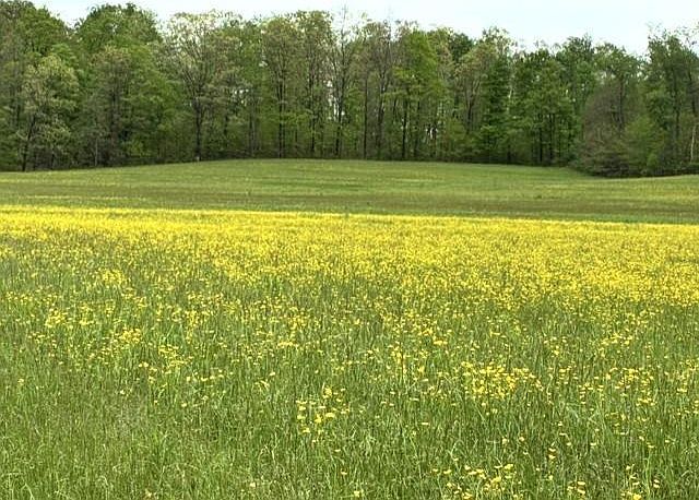 1st image of 0 Warner Rd
