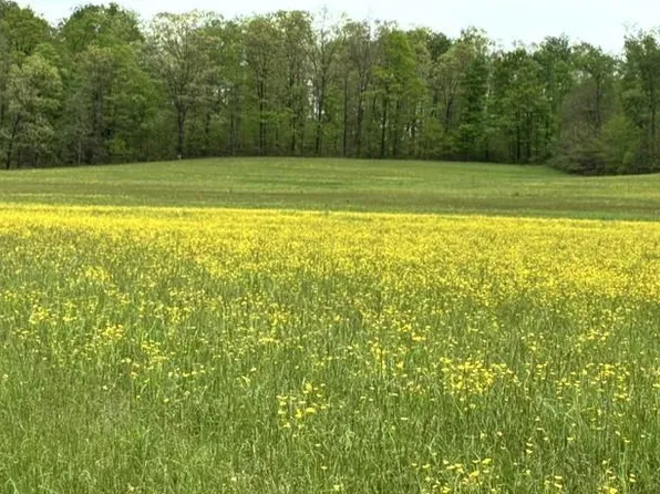 0 Warner Rd, Kennerdell, PA 16374