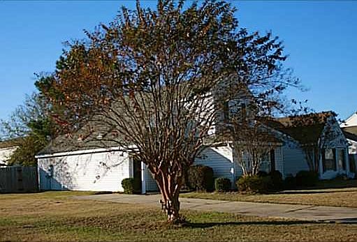 4th image of 351 Bells Ferry Dr