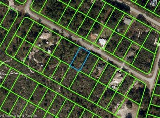 312 Durham Ave, Lake Placid, FL 33852