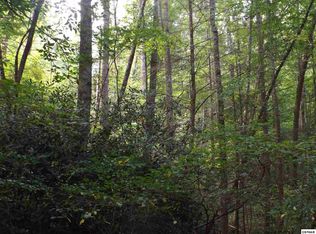 4855 Teague Branch Rd, Del Rio, TN 37727