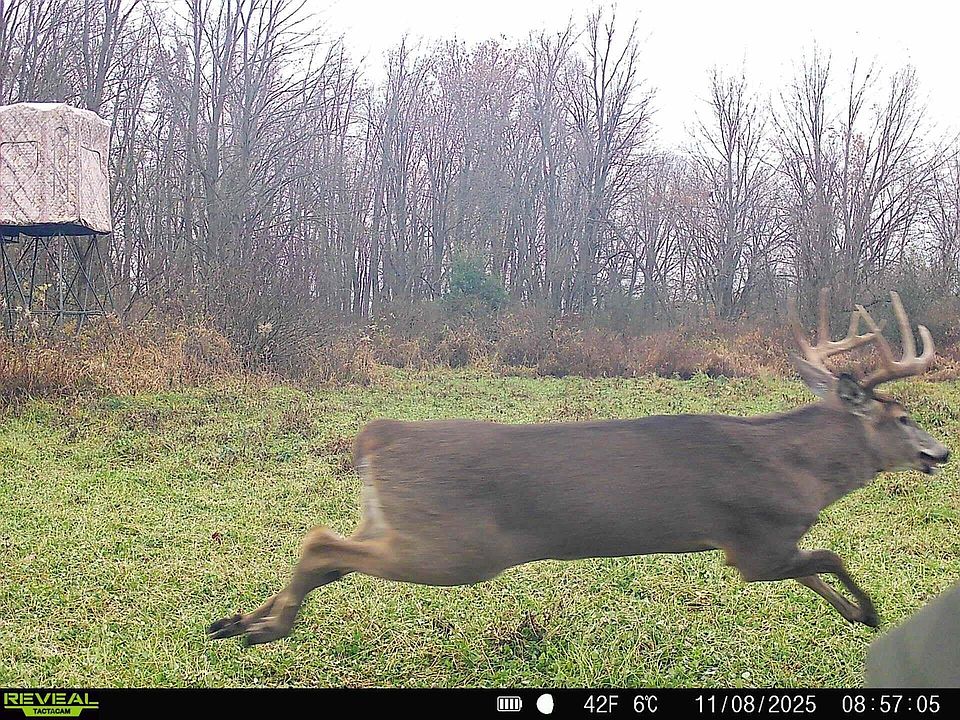 1st image of 5121 Skuse Rd