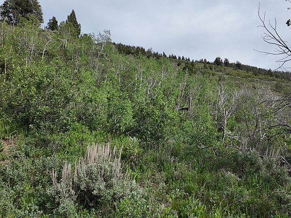 2nd image of 4060 E Wildlife Way N