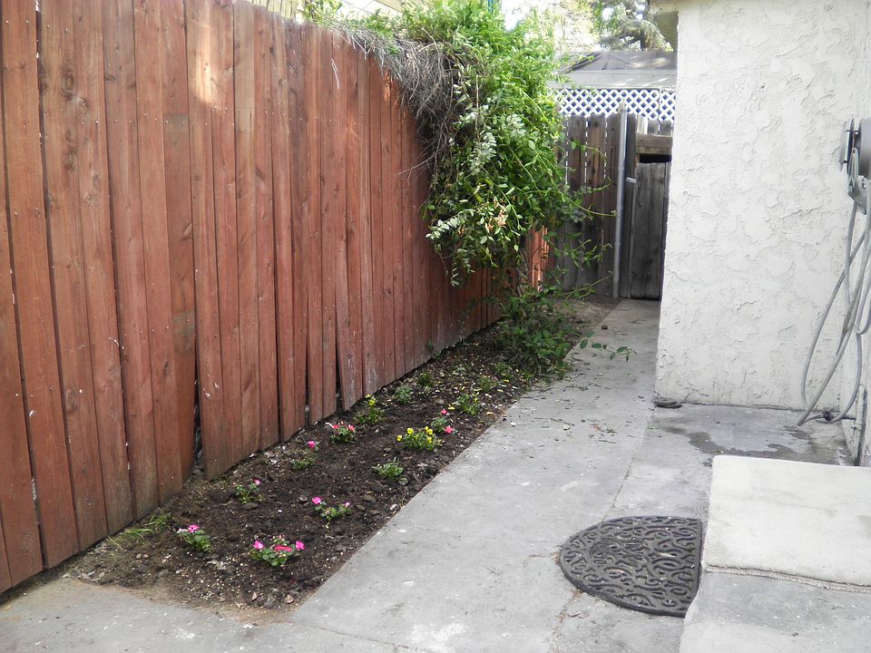 Small yard