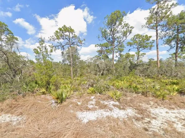 3047 Willow Ave, Lake Placid, FL 33852