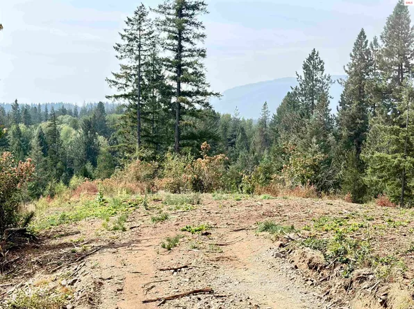 Nna Snowberry Ln, Sandpoint, ID 83864