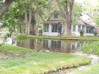 Hous and Pond