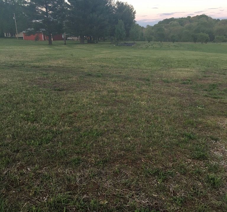 2nd image of 2224 Nashville Rd