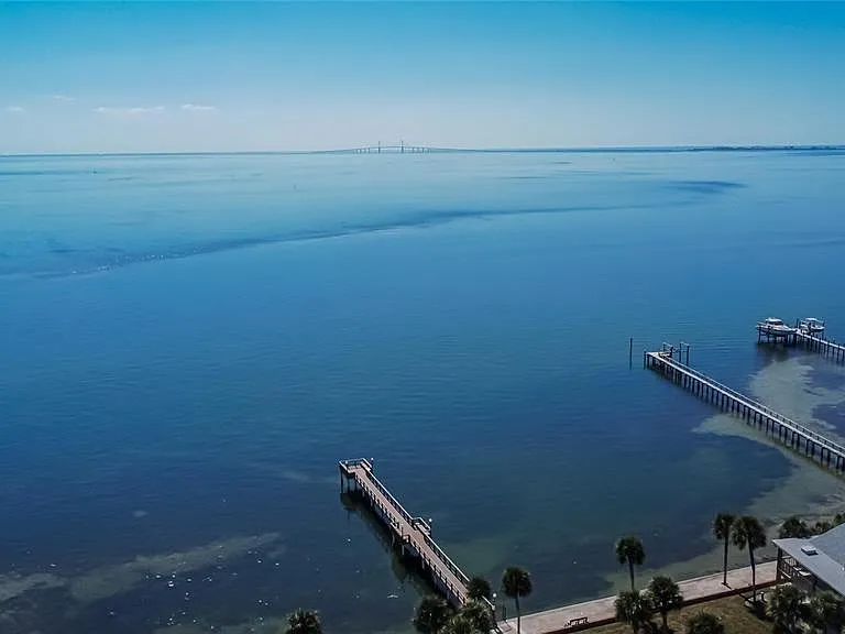 650 Pinellas Point Dr S #236 — Photo 43