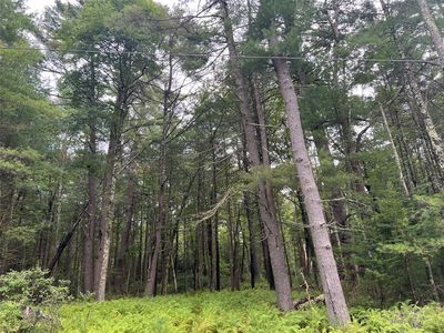 0 Crystal Lake Road, Narrowsburg, NY, 12764