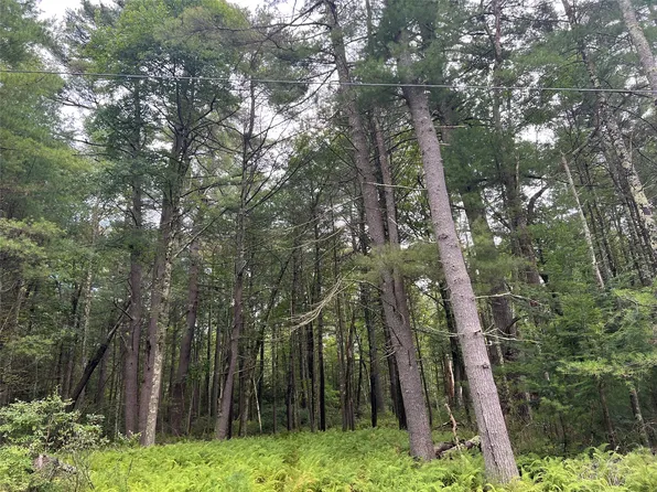 0 Crystal Lake Road, Narrowsburg, NY