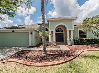 15114 Arbor Hollow Dr, Odessa, FL 33556