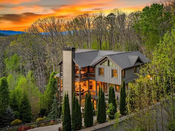 239 Covered Bridge Ln, Cherry Log, GA 30522